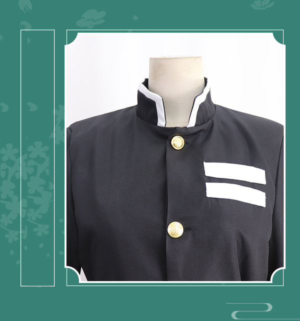 Demon Slayer Tokitou Muichiro Cosplay Costume Set