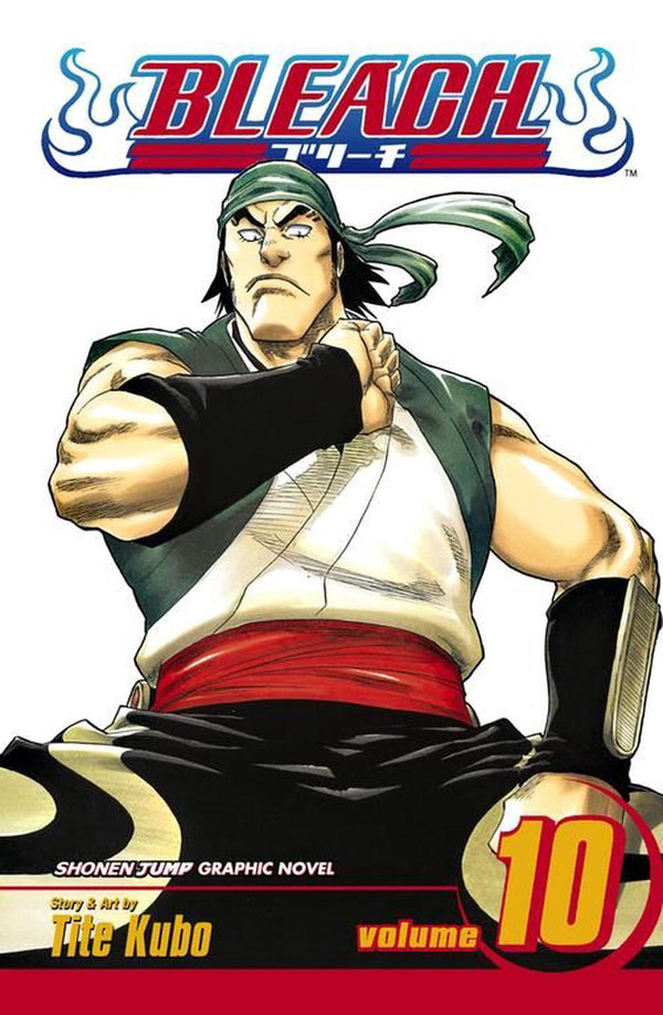 Bleach Manga Collection