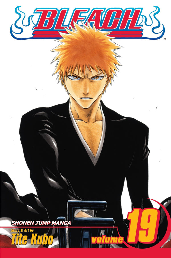 Bleach Manga Collection