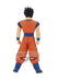 products/Dragon-Ball-Z-Grandista-Resolution-of-Soldiers-Gohan.jpg