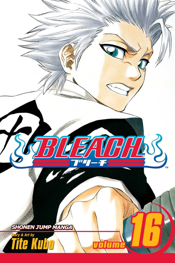 Bleach Manga Collection